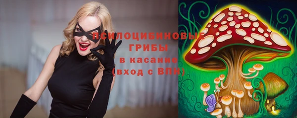 МДПВ Лагань
