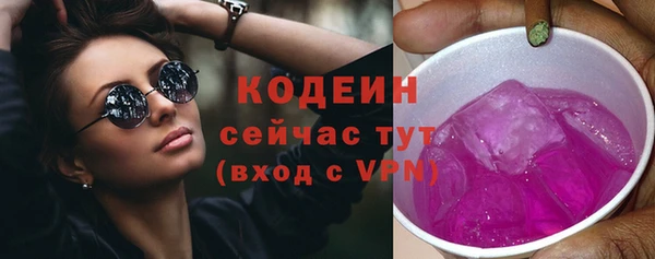 МДПВ Лагань