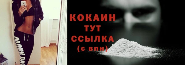 МДПВ Лагань