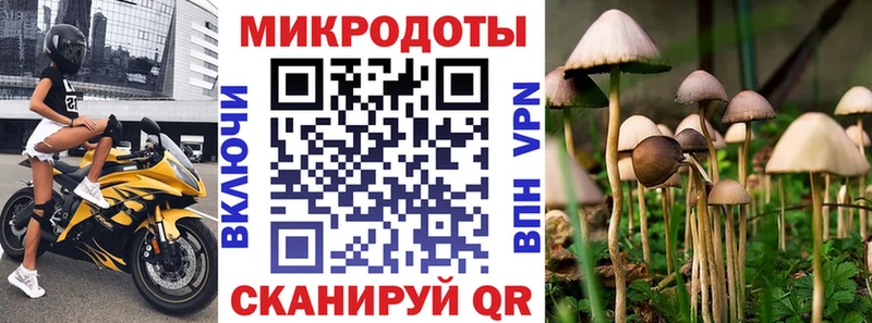 MEGA маркетплейс  Сысерть  Галлюциногенные грибы Cubensis 